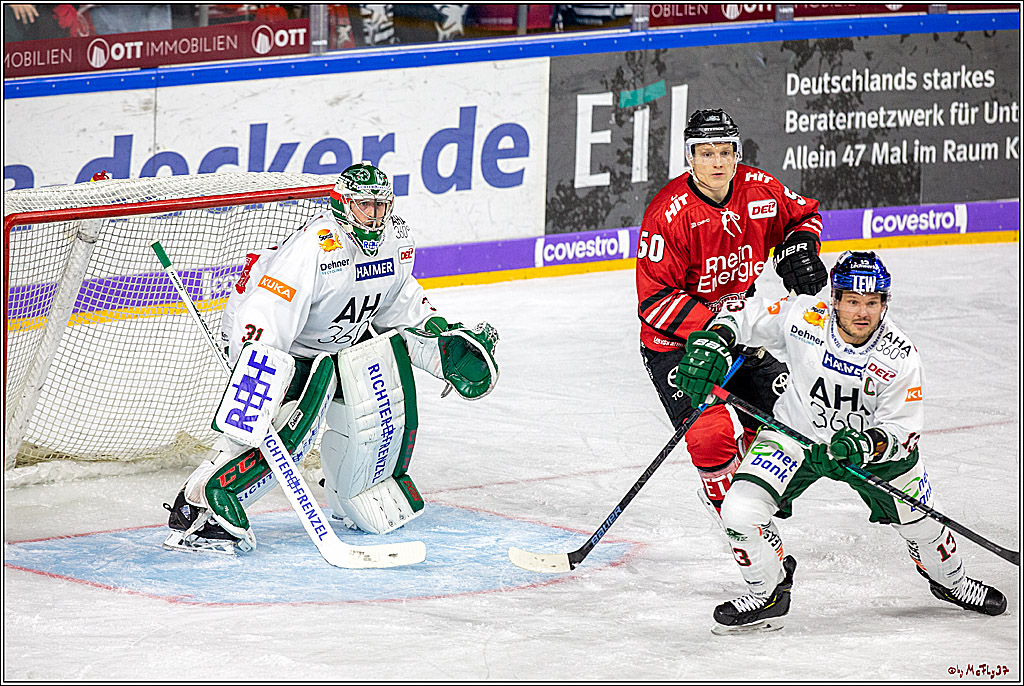 DEL; Koelner Haie - Augsburger Panther;; Koeln, 11.10.2019